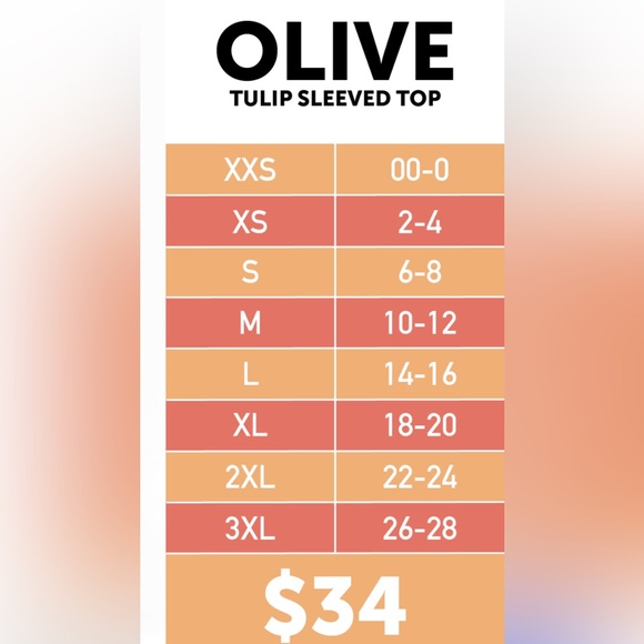 Lularoe Olive top. Blue background with ladybugs, scooped neck - Picture 5 of 5